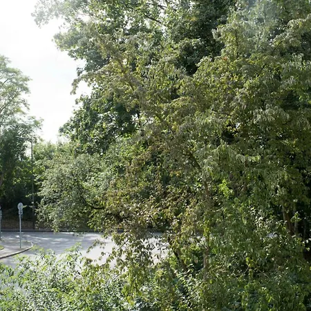Work And Balcony דירה