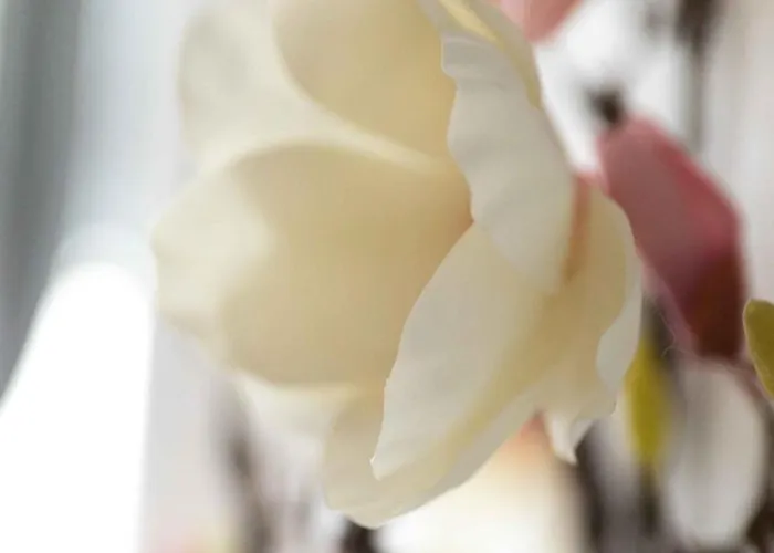 Work And Balcony شقة *