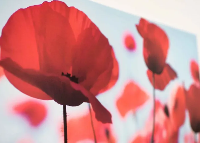 Work And Balcony شقة *