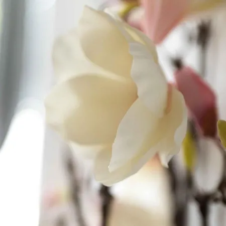 Work And Balcony Apartman *