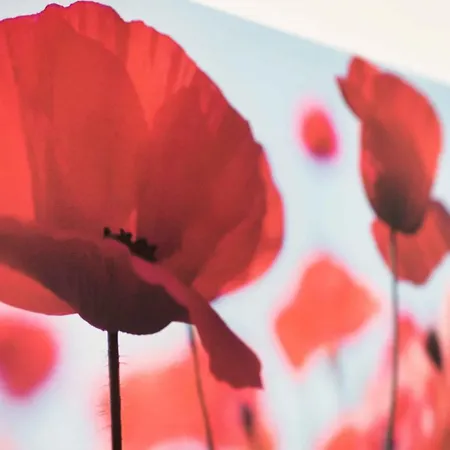 Work And Balcony Apartman *